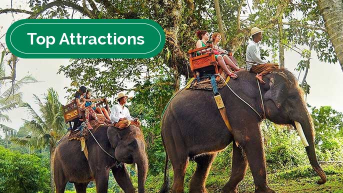 Monkey Forest and Elephant Sanctuary Tour